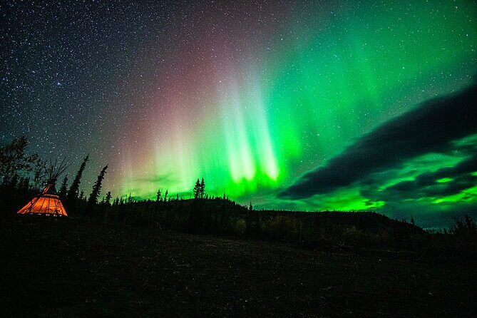 Arctic Day: Aurora Viewing Tour | late night - What Travelers Love Most