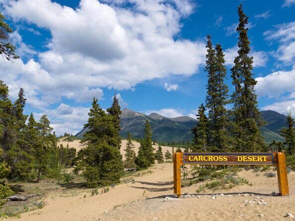 Arctic Day: Carcross & Southern Lakes Hiking Tour | full day - Experience the Yukon’s Natural Beauty on the Arctic Day: Carcross & Southern Lakes Hiking Tour