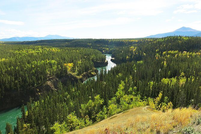 Arctic Day: Hiking Tour | half day - Key Points