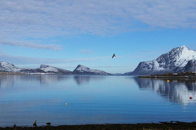 Arctic fjord and Landscape Tour - Key Points