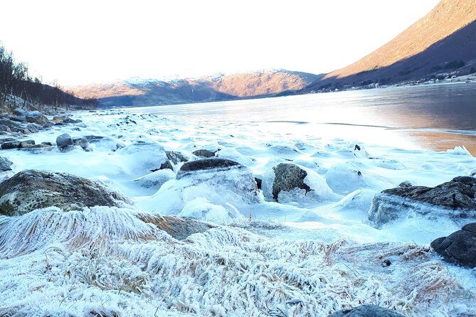 Arctic fjord and Landscape Tour - Final Thoughts