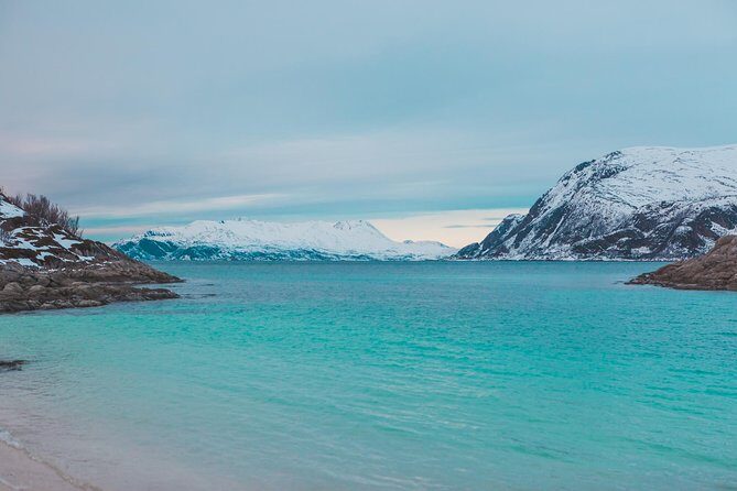 Arctic Fjord Sightseeing by Minibus - The Balance of Value and Experience