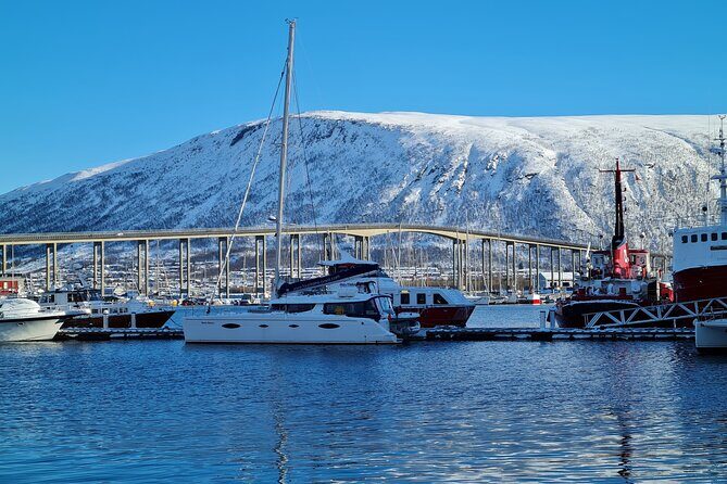 Arctic Fjordcruise & Safari in Tromso with Luxury Catamaran - Dining & Comfort Onboard