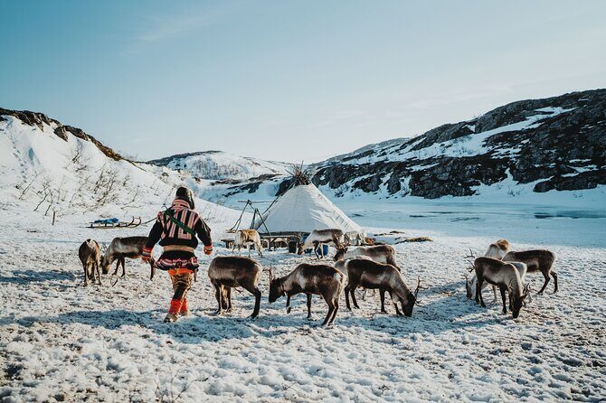 Arctic Fjords and Reindeer Experience  Small group tour - - The Experience in Detail: What You Can Expect