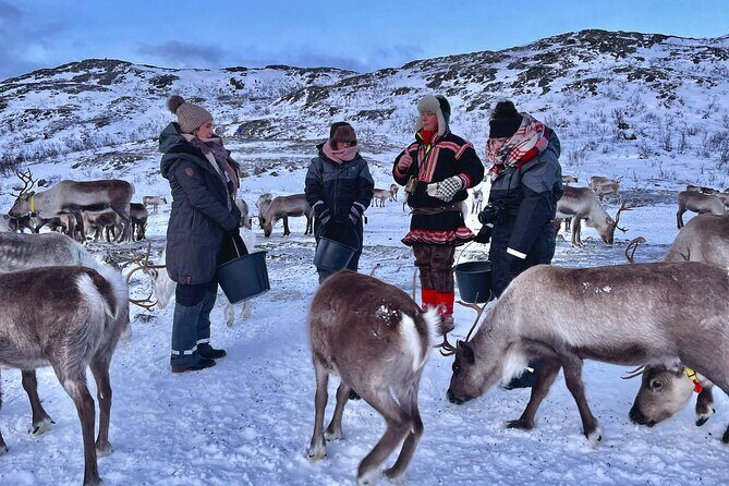 Arctic Fjords and Reindeer Experience  Small group tour - - FAQs