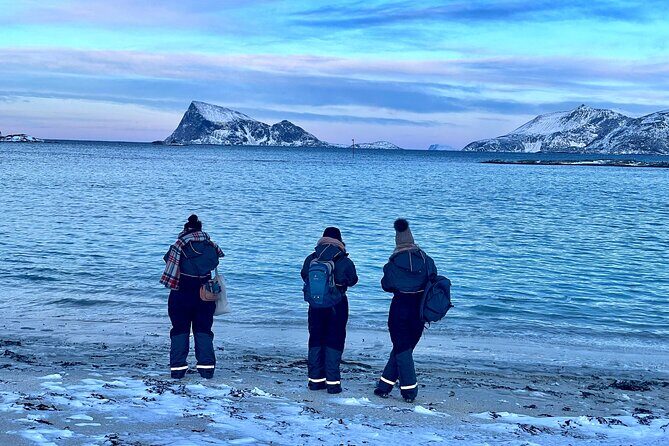 Arctic Fjords and Reindeer Experience  Small group tour - - Final Thoughts