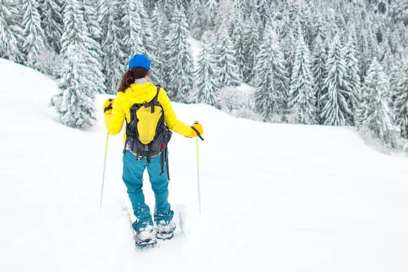 Arctic Gateway: Snowshoeing Expedition in Lapland - Key Points