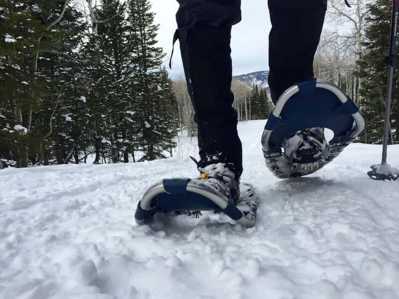 Arctic Gateway: Snowshoeing Expedition in Lapland - Potential Drawbacks and Considerations