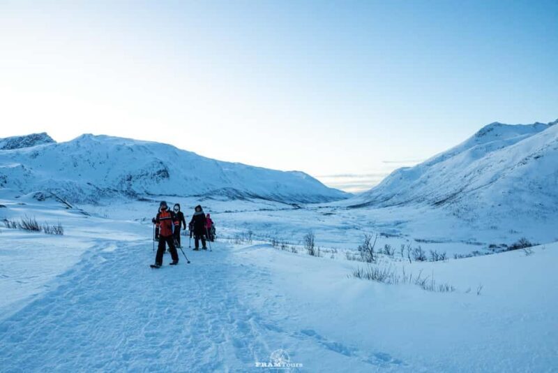 Arctic hike on Kvaløya Island with drinks and snacks - Arctic Hike on Kvaløya Island with Drinks and Snacks: A Practical Review