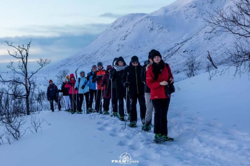 Arctic hike on Kvaløya Island with drinks and snacks - How This Tour Offers Real Value