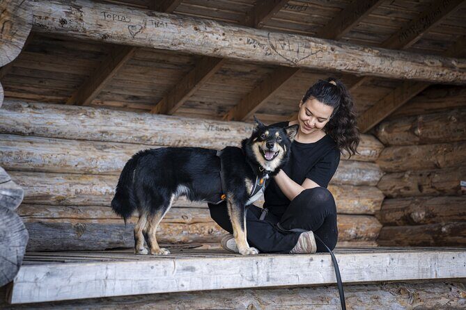 Arctic Hiking with Lappish Dogs - A Closer Look at the Arctic Hiking with Lappish Dogs Experience