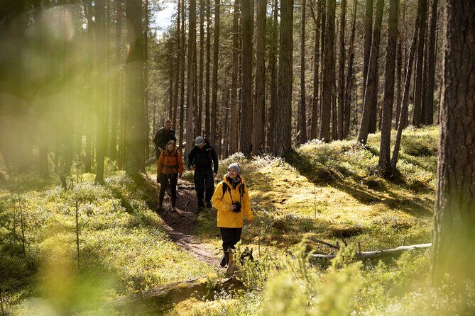 Arctic Hiking with Lappish Dogs - The Sum Up