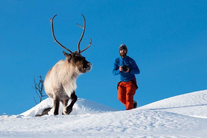 Arctic Nature Photography Sightseeing Tour from Tromso - Arctic Nature Photography Sightseeing Tour from Tromso
