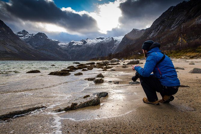 Arctic Nature Tour from Tromsø by minibus - Who Will Love This Experience?