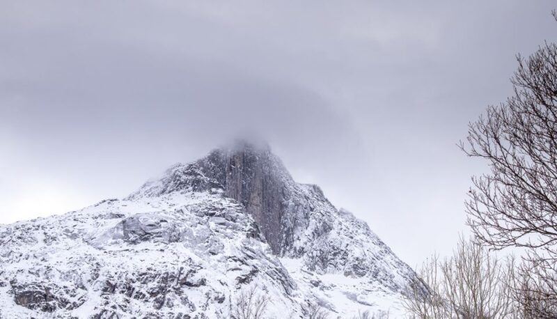 Arctic Nature Tour from Tromsø - Considerations & Tips