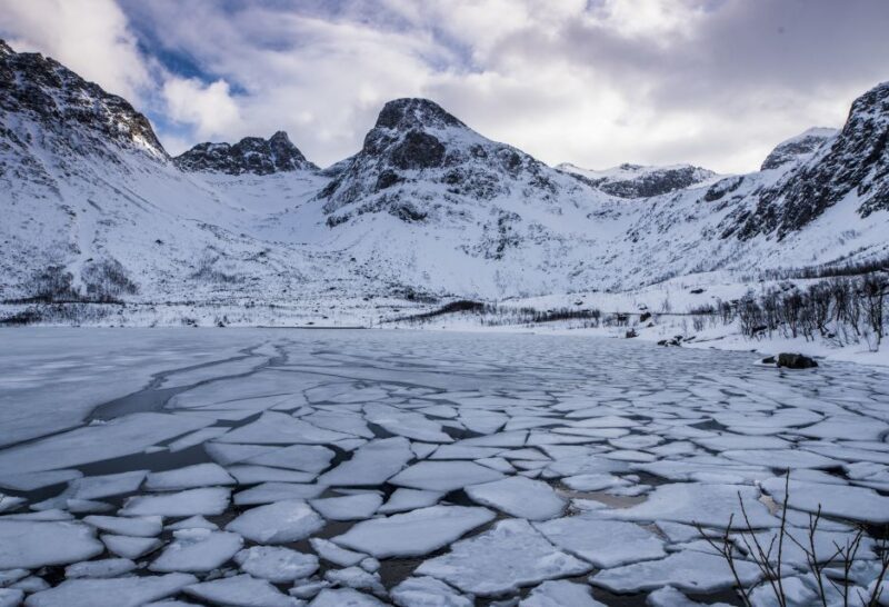 Arctic Nature Tour from Tromsø - Detailed Review: Beyond the Basics