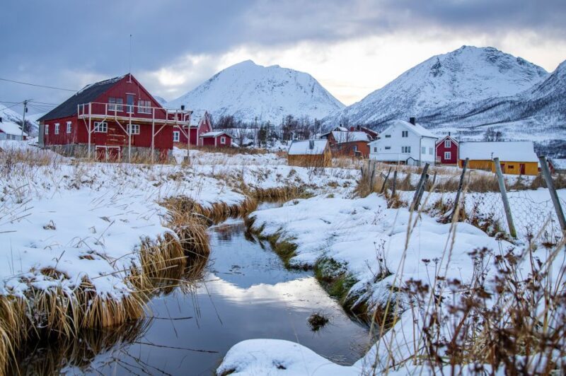Arctic Nature Tour from Tromsø - Who Should Consider This Tour?