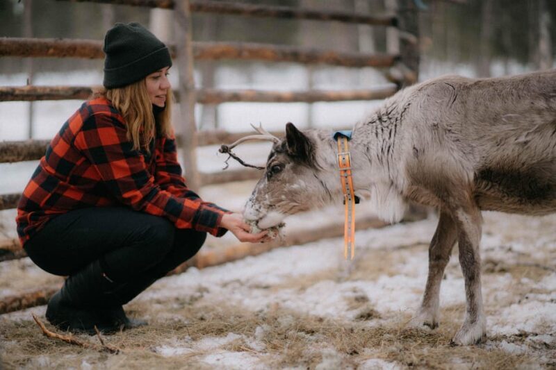 Arctic Reindeer Farm Experience with Snowshoeing in the Wild - Final Thoughts on the Arctic Reindeer Farm Experience