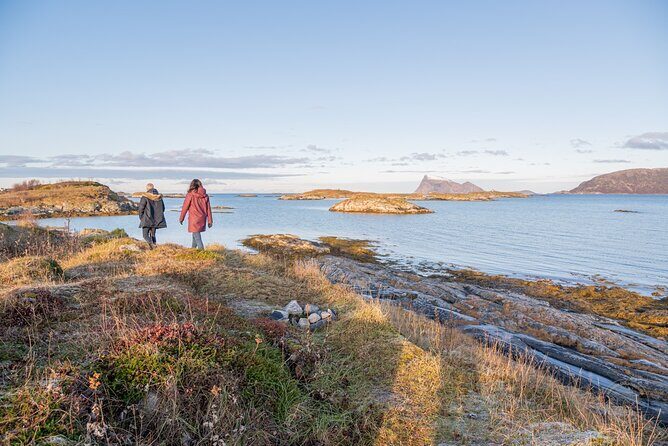 Arctic Roadtrip: fjords with scenic picnic | Private - Why We Think This Tour Offers Great Value