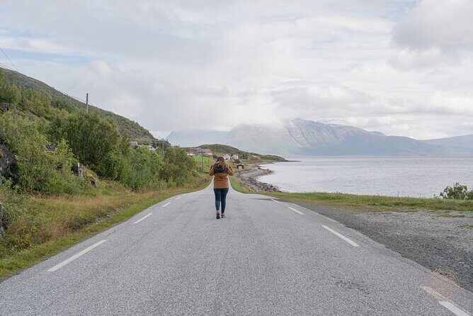Arctic Roadtrip: fjords with scenic picnic | Private - Who Should Consider This Tour?