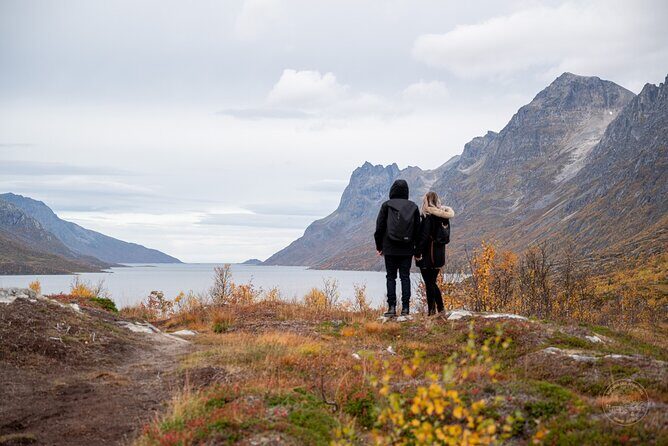 Arctic Roadtrip: fjords with scenic picnic | Sightseeing - An In-Depth Look at the Arctic Roadtrip Experience