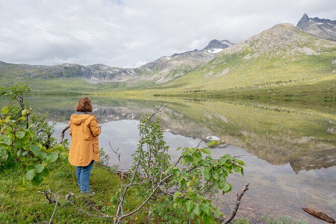 Arctic Roadtrip: fjords with scenic picnic | Sightseeing - Final Thoughts