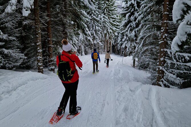 Arctic Snowshoe Hike in Norway - Who Will Love This Tour?