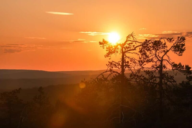 Arctic Wilderness Hike from Rovaniemi (Day & Evening) - A Deep Dive into the Arctic Wilderness Hike