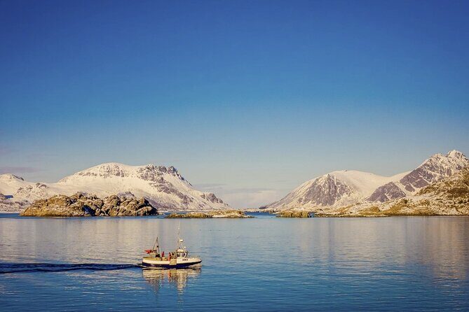 Arctic Wildlife and Fjord Sightseeing - The Practicalities: What You Need to Know
