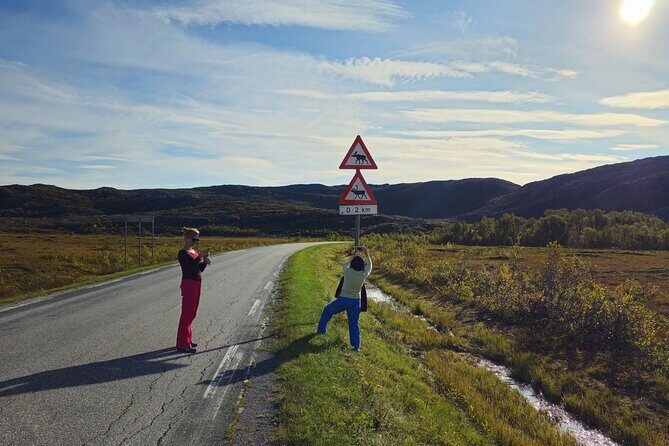 Arctic Wildlife and Fjord Sightseeing - The Sum Up: Who Should Consider This Tour?