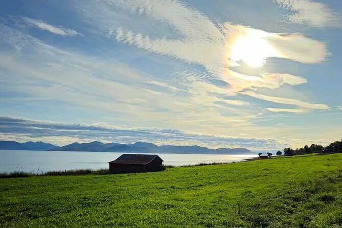 Arctic Wildlife and Fjord Sightseeing - Frequently Asked Questions
