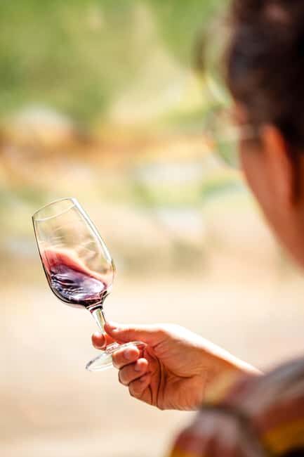 Ardèche: guided tour of our wine estate with tasting - In-Depth Review of the Ardèche Wine Estate Tour