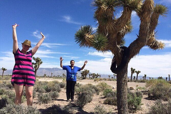 Area 51 Day Tour from Las Vegas with Alien and UFO Hotspots - What Makes This Tour Stand Out?