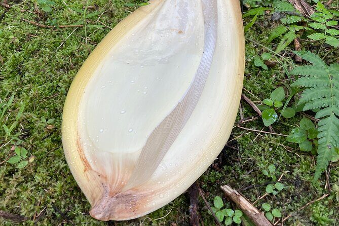 Areca Plantation Walk & Heritage Home visit at Areca County - FAQ