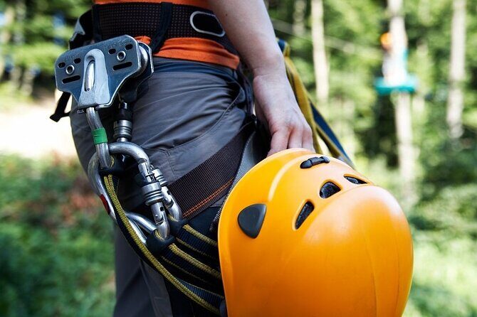 Arenal Canopy Adventure & Tarzan Swing - A Detailed Look at the Rainforest from the Canopy
