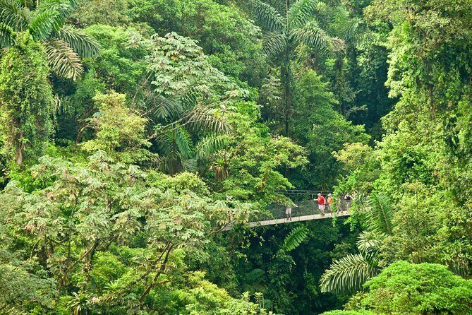 Arenal City Pass® Volcano, Waterfall, Bridges (SelfGuide) - Who Is This Tour Best Suited For?