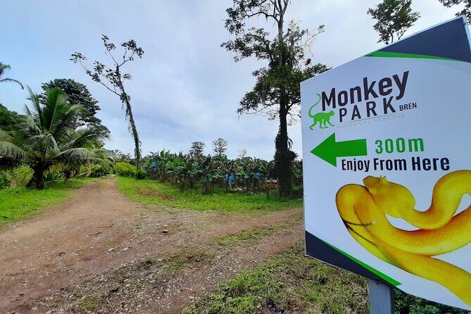 Arenal Combo Feelings: Adrenaline Rafting & Monkey Farm Experience - The Itinerary: A Well-Rounded Day