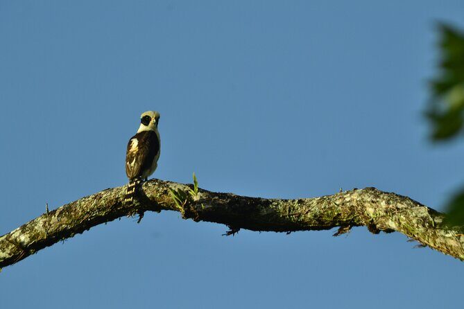 ARENAL DISCOVERY ADVENTURE (1): Volcano Hike, Waterfall & Lunch - Key Points