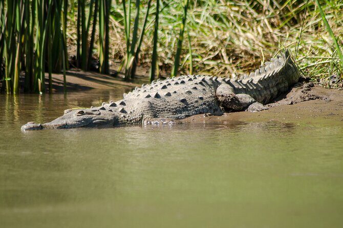 ARENAL DISCOVERY ADVENTURE (2): Safari Float, Waterfall & Lunch - FAQ