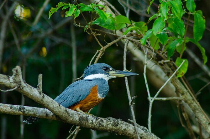 ARENAL DISCOVERY ADVENTURE (2): Safari Float, Waterfall & Lunch - Final Thoughts