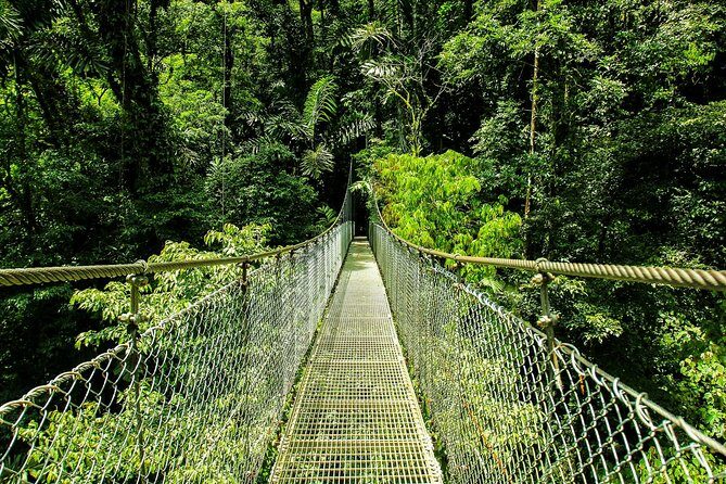 ARENAL DISCOVERY ADVENTURE (3):Hanging Bridges, Waterfall & Lunch - An In-Depth Look at the Arenal Discovery Adventure (3)