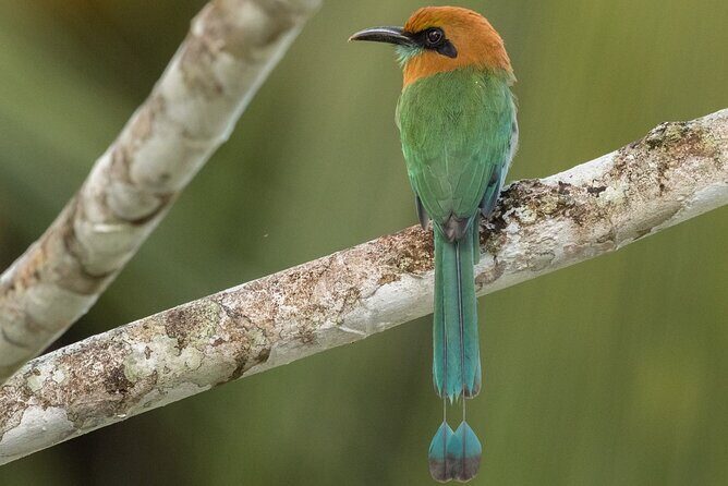 Arenal Full Day Tour - The Sum Up: Who Will Love This Tour?