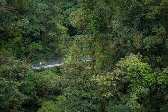 Arenal Hanging Bridges From Arenal - Key Points