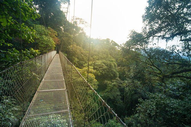 Arenal Hanging Bridges Hiking Tour - A Deeper Look at the Arenal Hanging Bridges Hiking Tour