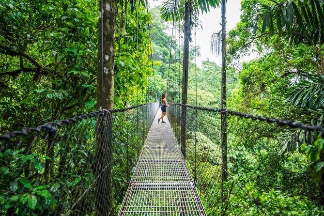 Arenal Hanging Bridges Self-Guided Walk at Mistico Park - Key Points