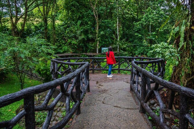 Arenal Hanging Bridges Self-Guided Walk at Mistico Park - Introduction: What Makes Mistico Park’s Hanging Bridges Special?