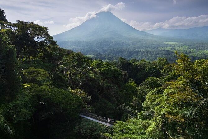 Arenal Hanging Bridges Self-Guided Walk at Mistico Park - What Travelers Say: Authentic Perspectives