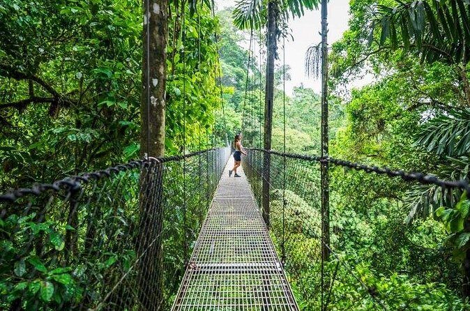 Arenal Hanging Bridges Self-Guided Walk at Mistico Park - The Sum Up: Who Will Love This Experience?