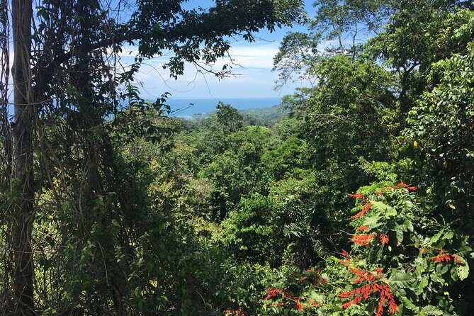 Arenal Hanging Bridges with Hotsprings, Lunch and Dinner - Exploring the Itinerary in Detail