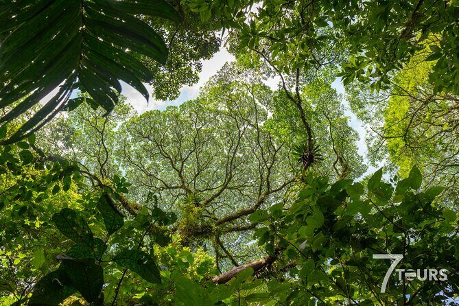 Arenal Highlights (arenal 1 Day) + Baldi Hot Springs & Dinner - The Sum Up: Who Should Book?